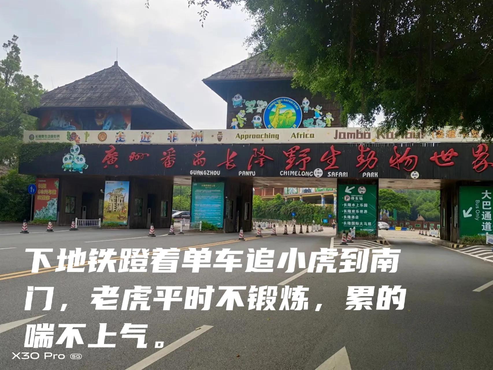 带娃去广州长隆动物园一天门票,带娃游广州长隆野生动物园