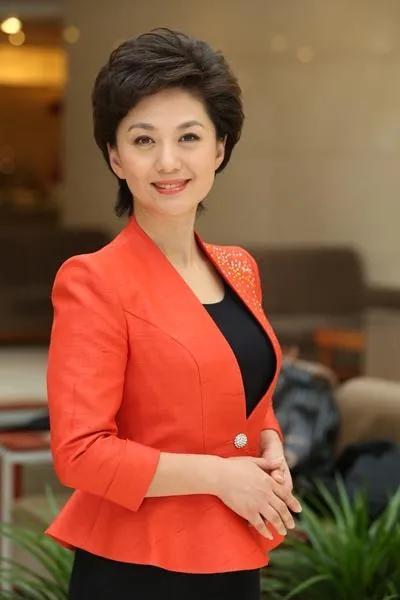 央视新闻联播女主持人海霞,央视主持人海霞气质照片