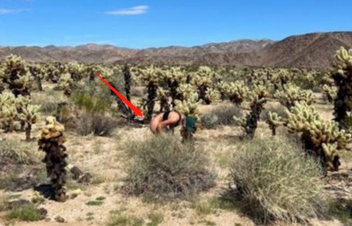 贾斯汀比伯被要求拍照,贾斯汀比伯被锁眼神