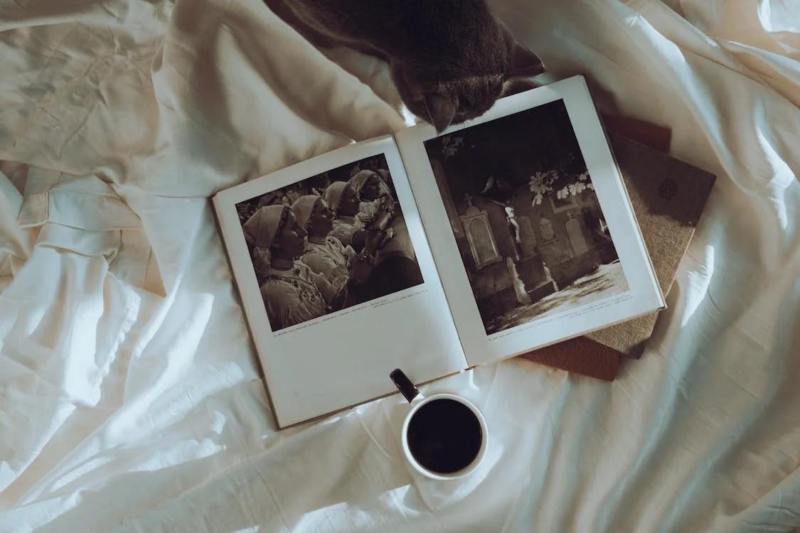 移民容易误解的三件事,移民只是人生的一个选择