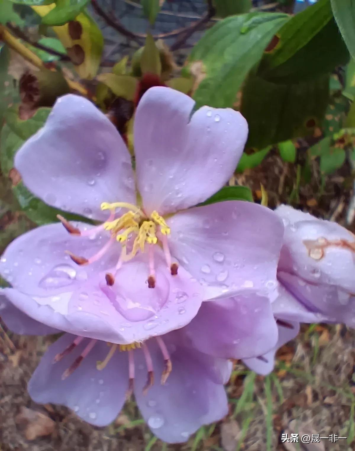 20天宝宝拉绿色的便便是什么原因,宝宝拉绿色便便什么原因该怎么办