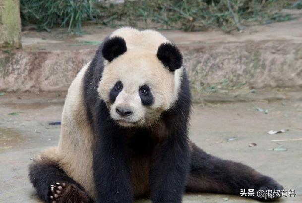 泰国五一,中国游客没来,机场一片冷清,网友:中国赚钱中国花