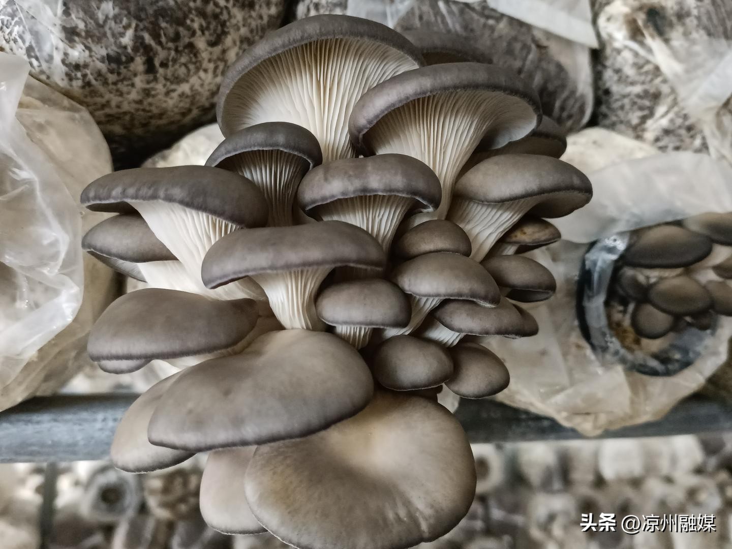 真心诚意办实事民生举措暖人心,扎实办好民生实事提升群众获得感