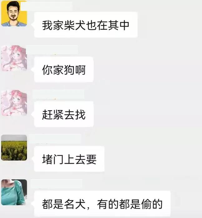 百万网红虐狗事件是真的吗,虐狗事件网红账号被封号