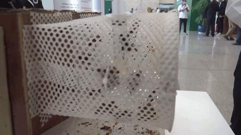 最贵的小昆虫,最贵的十大昆虫价格