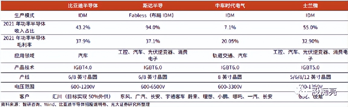 新能源汽车投资指南,比亚迪新能源汽车投资效率怎么写