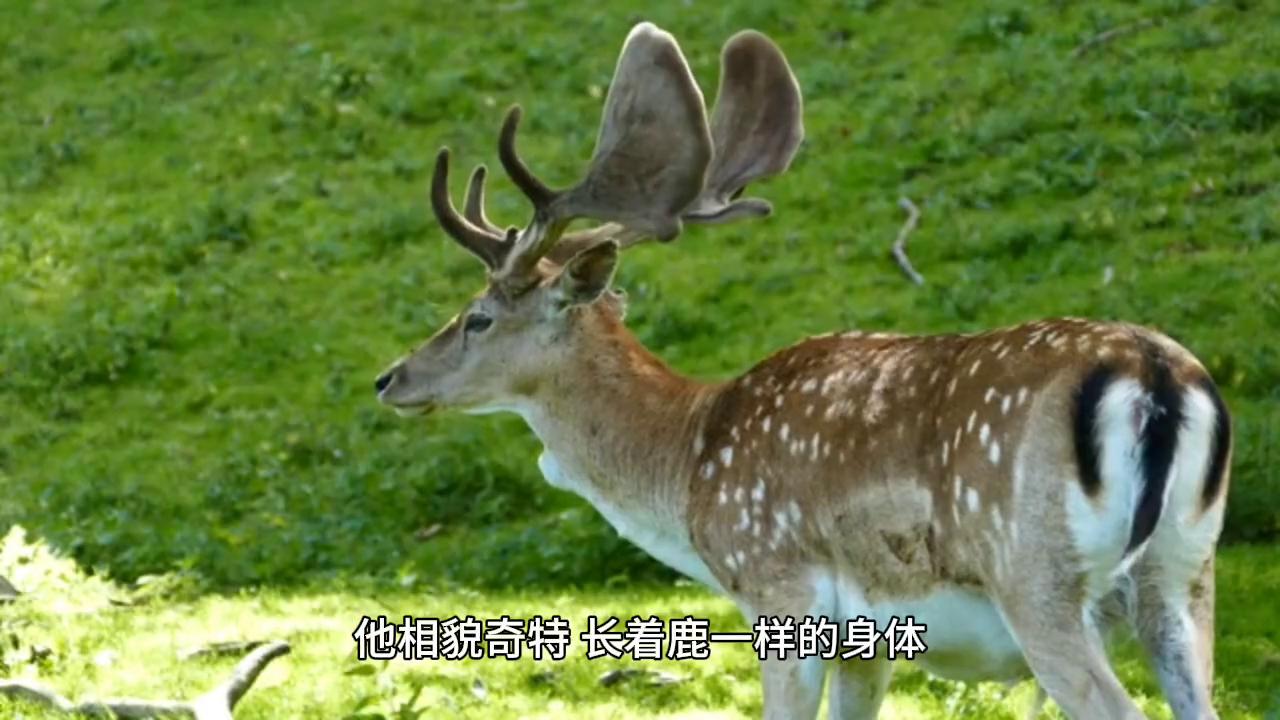 各个神话三神,风雨雷电四神是道教的神仙吗