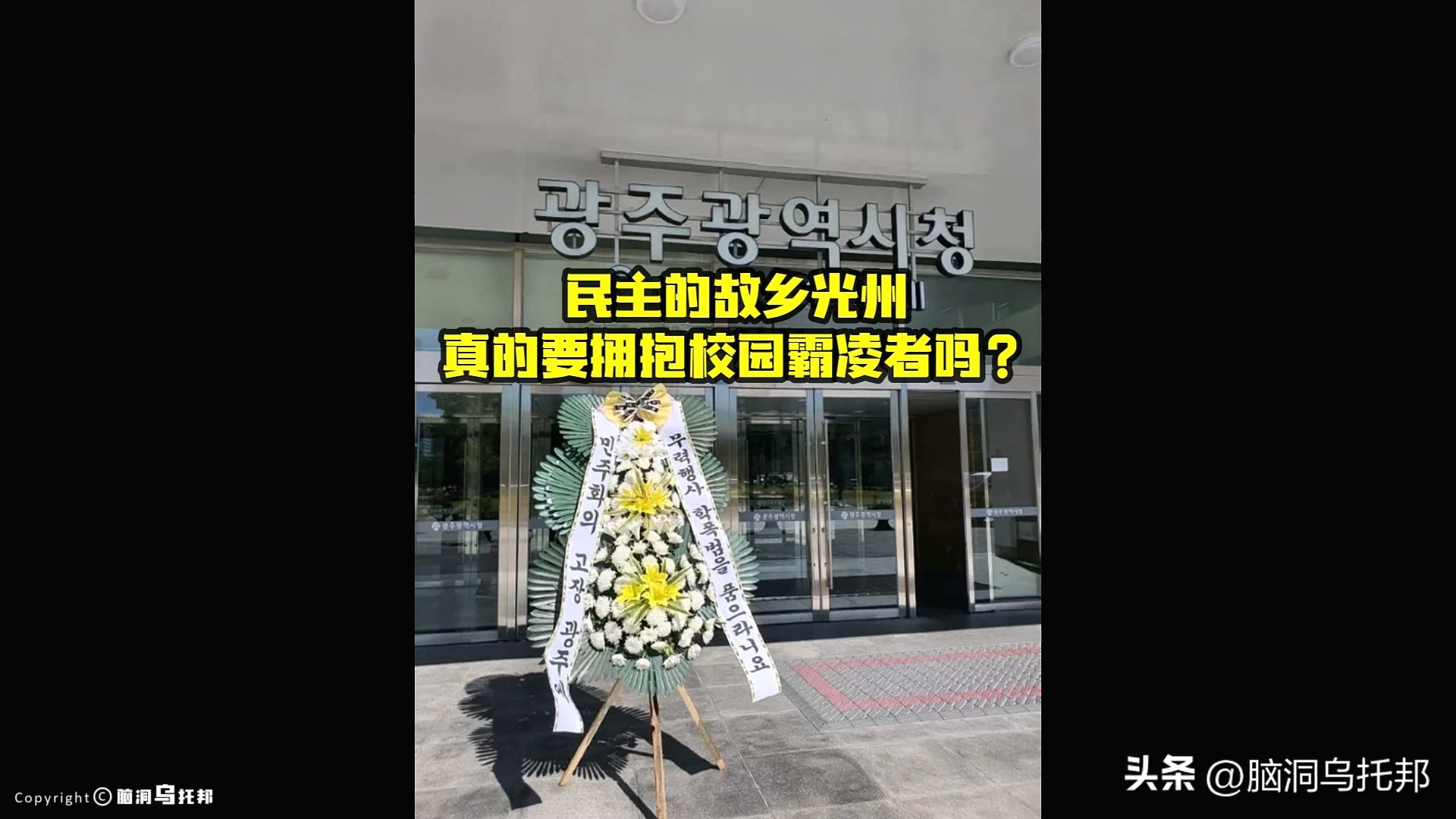 韩国排球明星李多英视频,韩国排球李多英绿色礼服