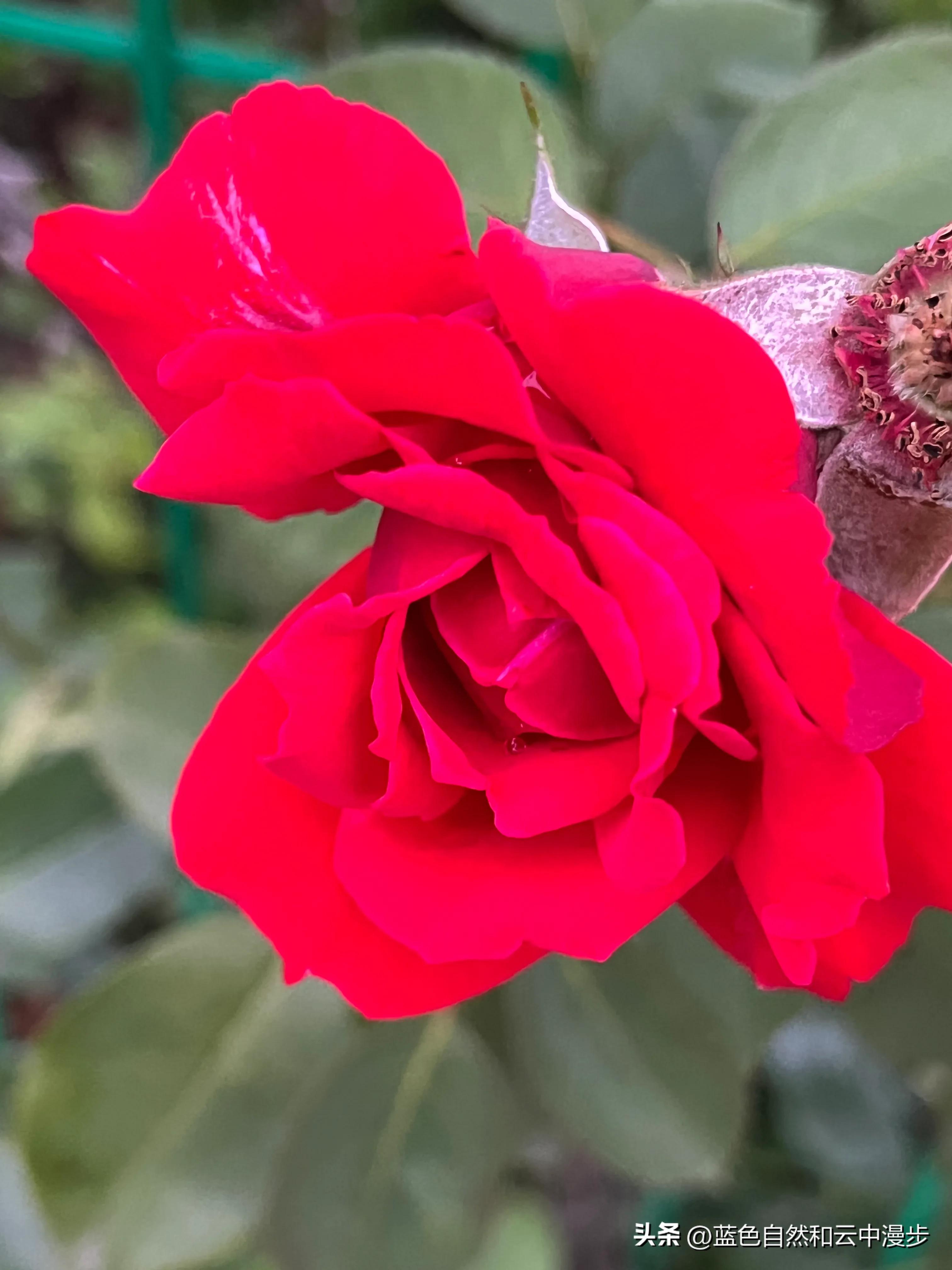 高中生找暑期工,找暑假工比较靠谱的方法