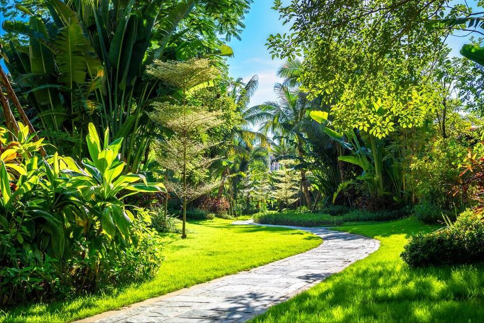 老话说“年景好不好，四月看八九”啥意思？八九指哪天？答案来了