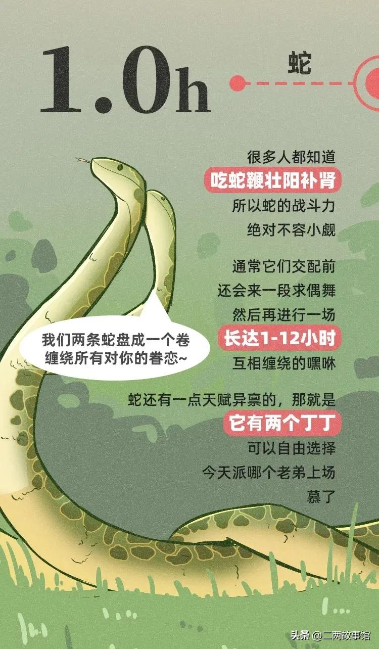 婕敾绻佹畺,婕敾绻佽