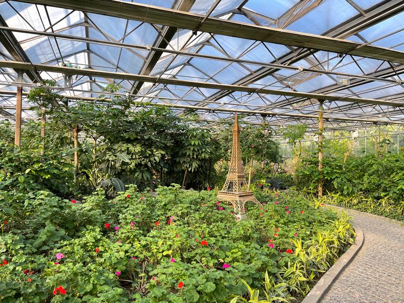 北京植物园的赏花的最好时节,西山秘境惊艳北京的植物