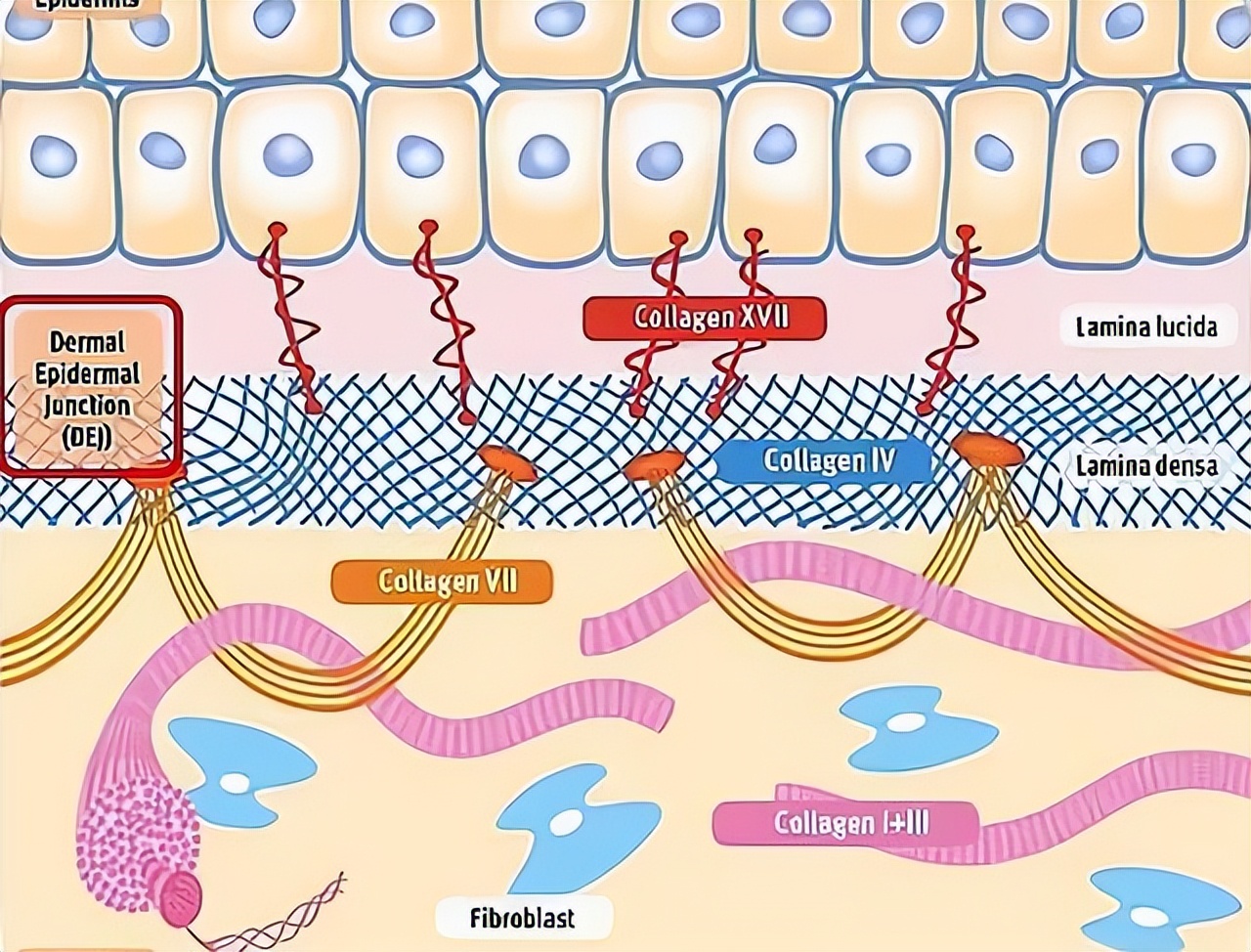 未名拾光属于未名集团吗,未名拾光怎么样