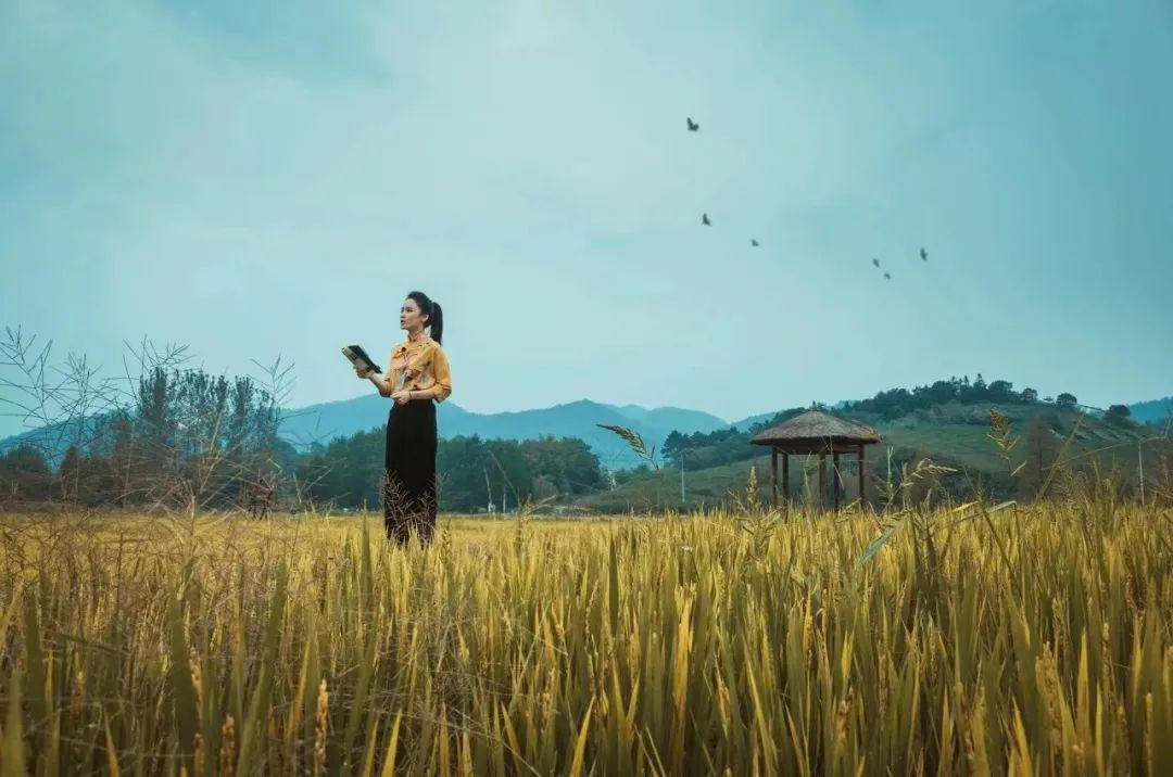 这3本书才是成年人的治愈指南,自我治愈必看的几本书