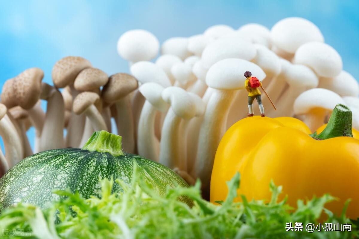 超实用生活小窍门100个妙招切菜,生活清洁小窍门妙招大全集