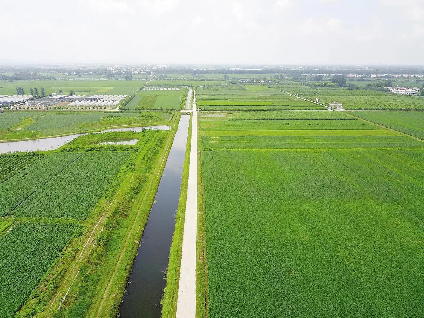 日本人在山东租地1500亩闲置5年,日本人在山东租1500亩地干啥用