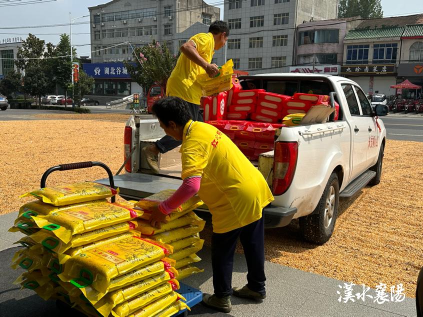 丰收季新米,贡米丰收