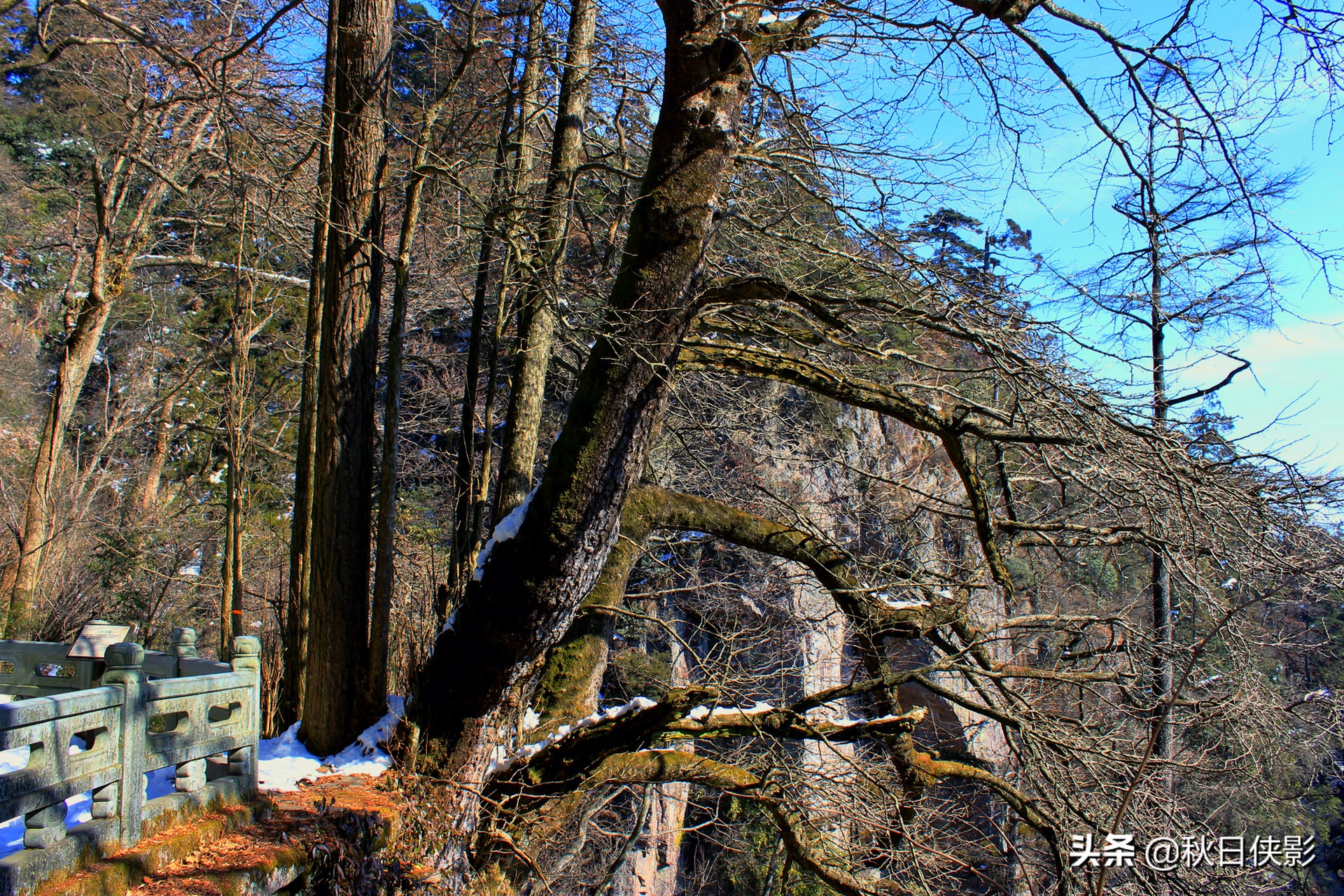 绂绘澀宸炴渶杩戠殑绉洩,鏉窞绉洩