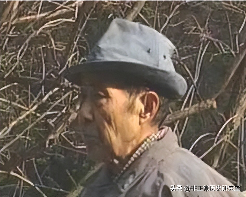 明为什么只有十三陵,十三陵为什么发掘万历皇帝的定陵