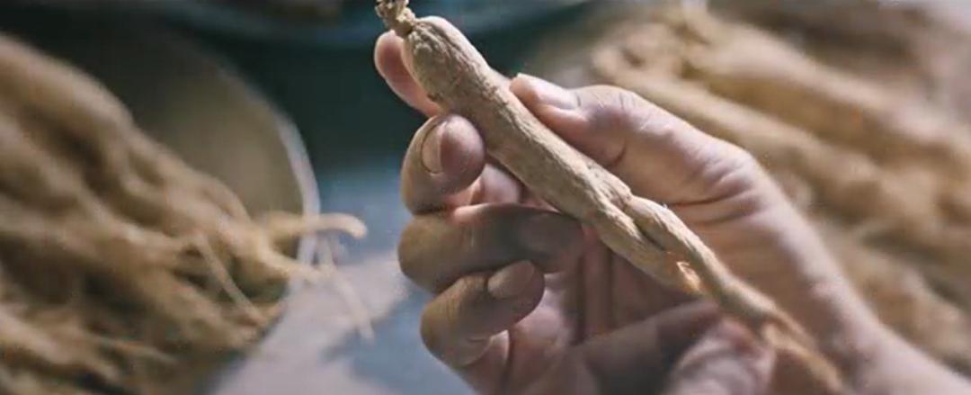 未来五年中国农业的十个黄金机遇,布局农业未来最大的红利