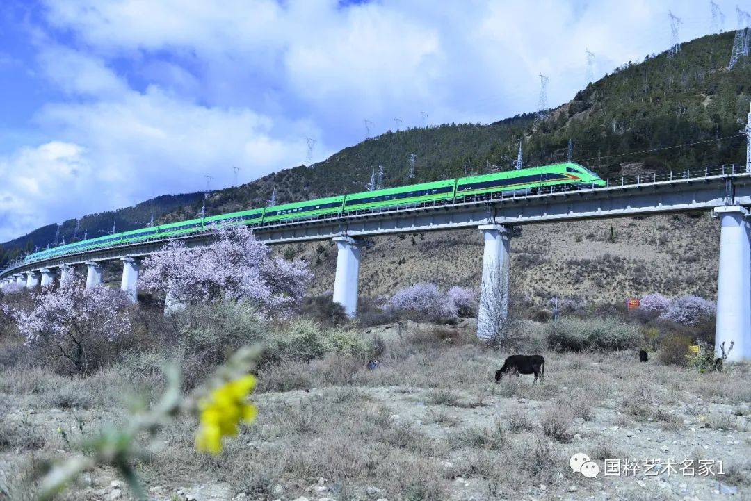 潍坊学院董俊青,国粹艺术名家董德元