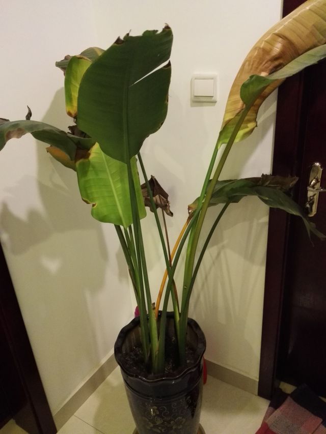 家里有烂物件不丢对风水的影响,门口放这三种东西晦气找上门