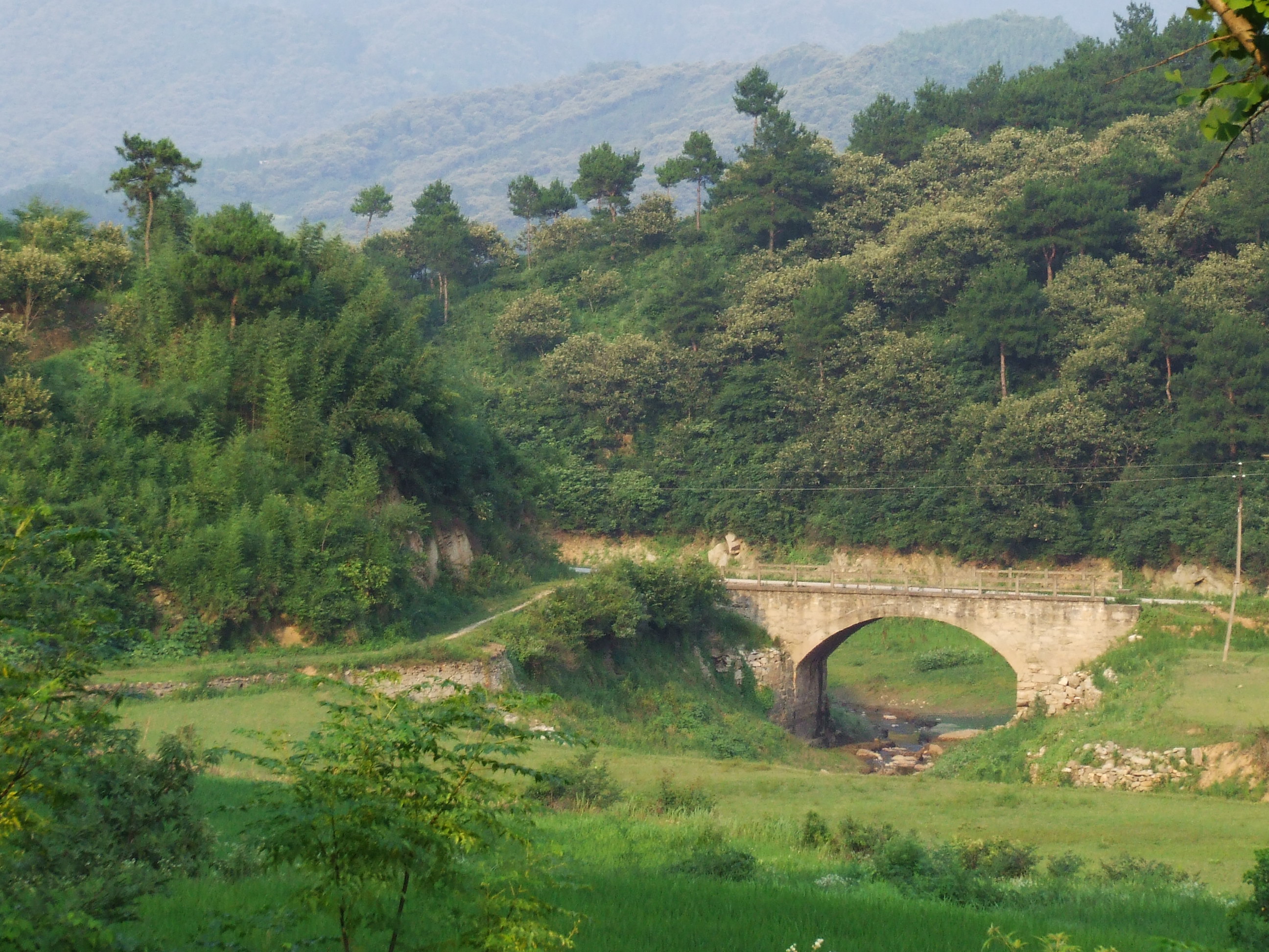 故乡的小桥风景,故乡的小桥