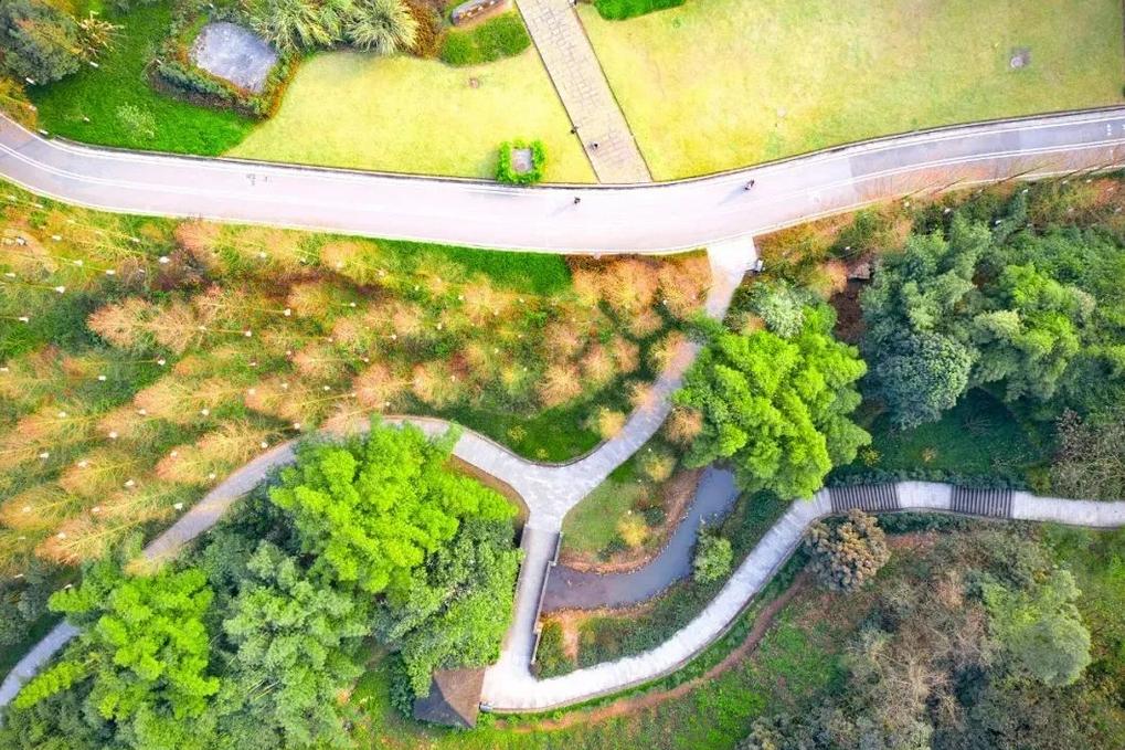 重庆的房子还有必要买吗,我劝你别买房系列