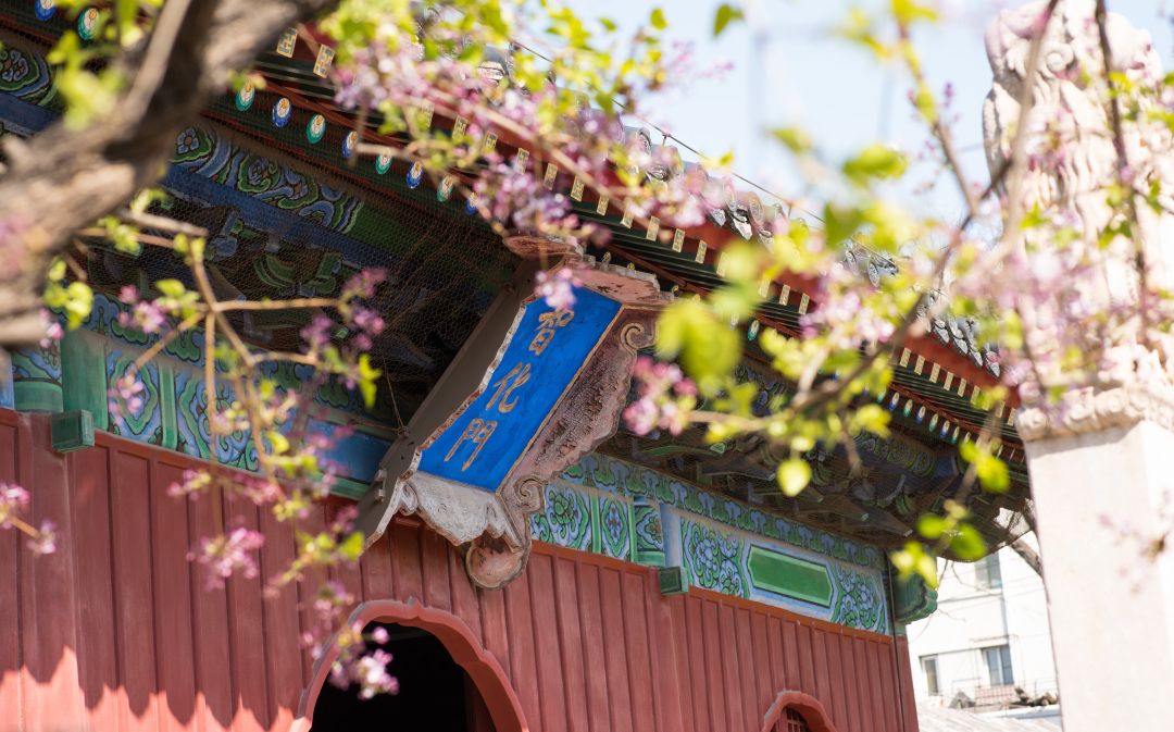 太监晚年的样子,太监晚年要做什么