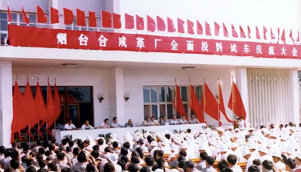 万华化学走向世界的中国化工巨头,万华化学吸收合并万华化工利弊