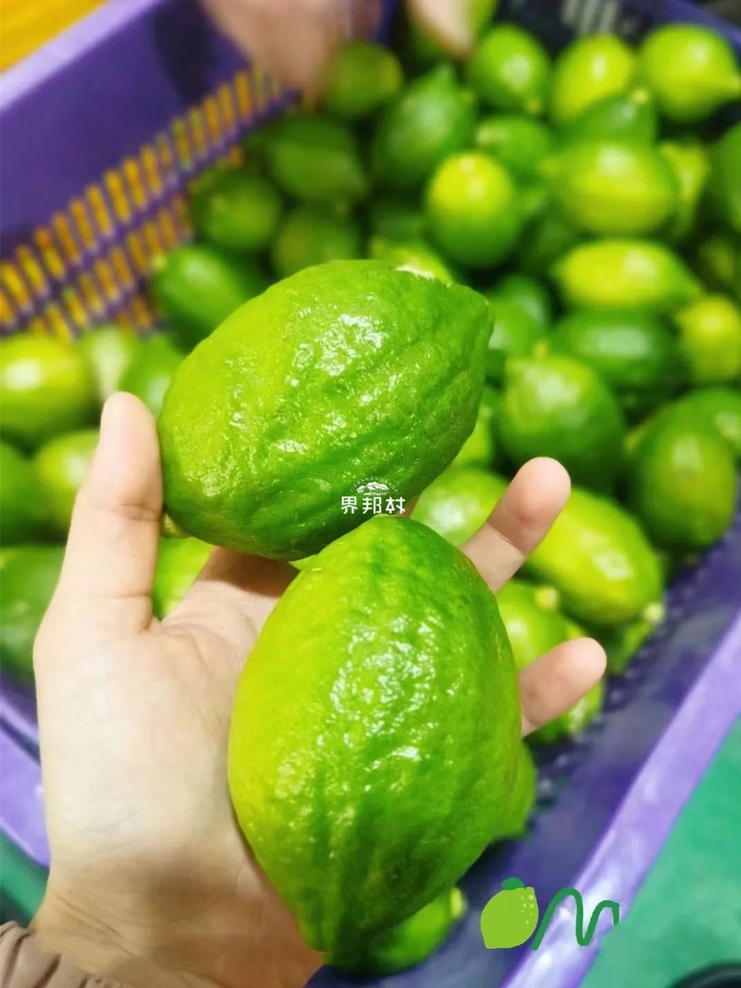 几月最适合吃什么水果,最适合七月吃的水果是什么