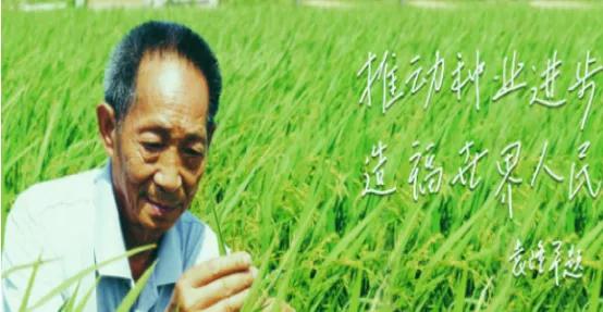 打破种子垄断，隆平高科成农业中的华为