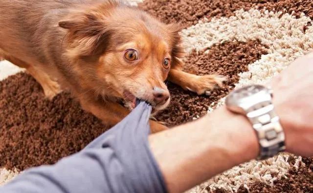 人肉搜索有多恐怖？仅需花费251元，就能凭奶茶中的珍珠找到你