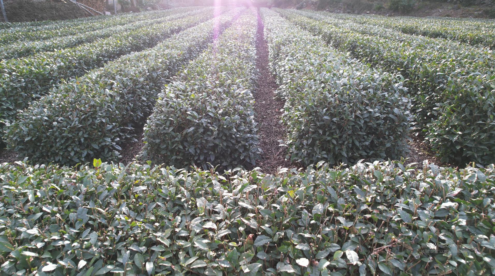 80后农村人创业直播带货,80后创业直播卖货