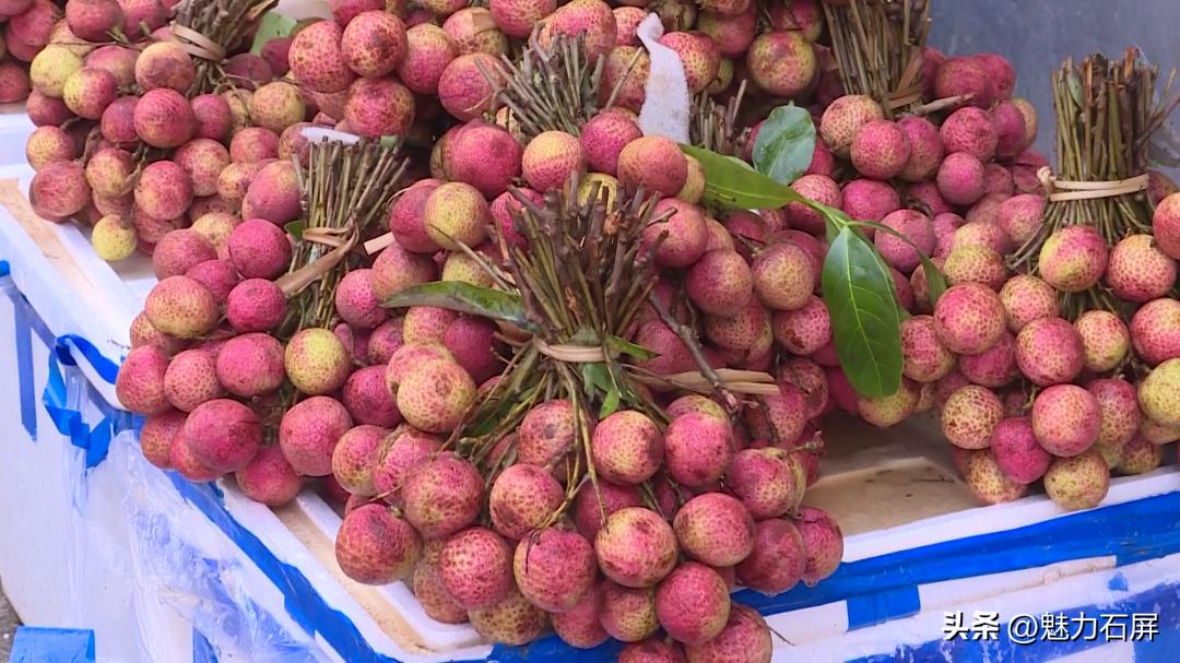 什么水果是你夏天的最爱,夏日果缤纷