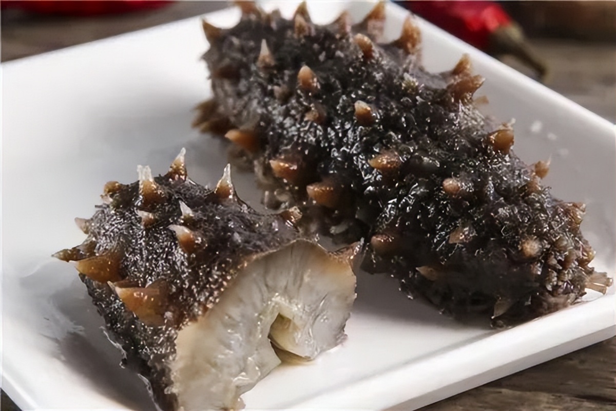 它历来被人们当作冬季进补的佳品,冬季滋补海参首选野生淡干海参