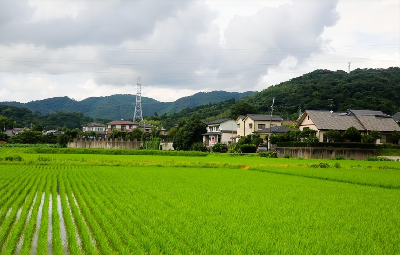 带孙女出去看世界,带着孙女看世界