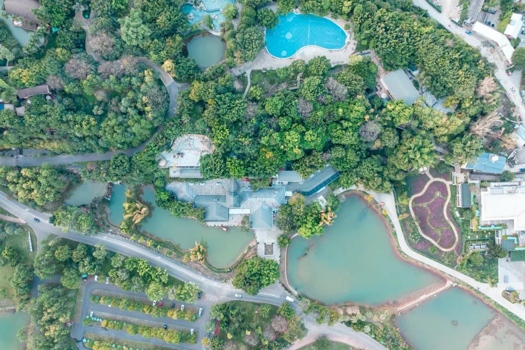 云南西部大峡谷泡温泉,云南原始森林温泉