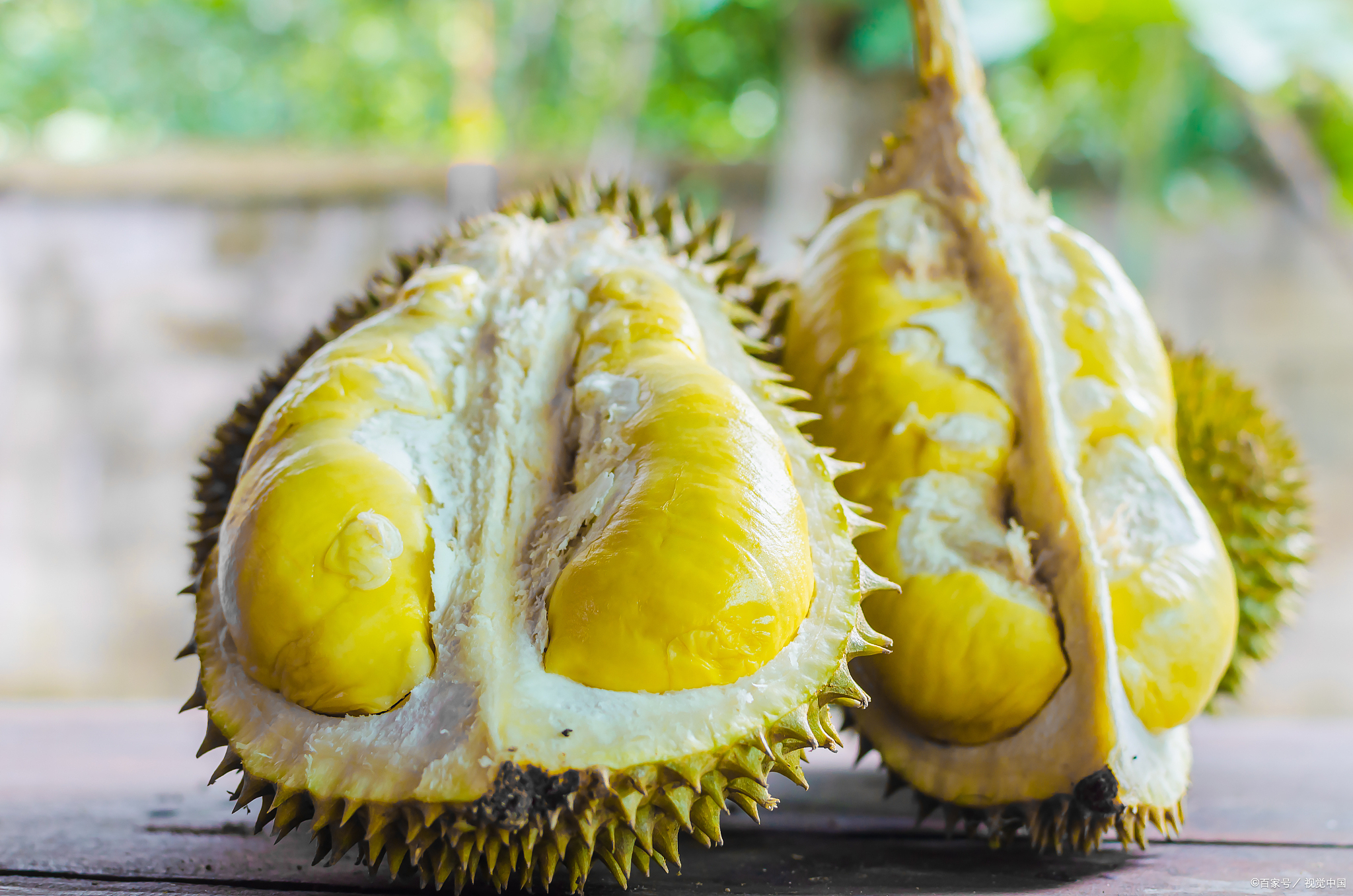 买榴莲不踩雷,牢记“4看1敲”,老板一看就知是内行,一挑一个准