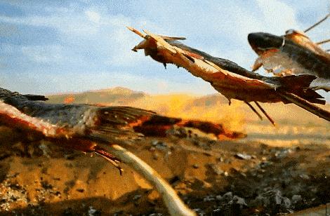 家庭出游7座车,家庭旅游8座车