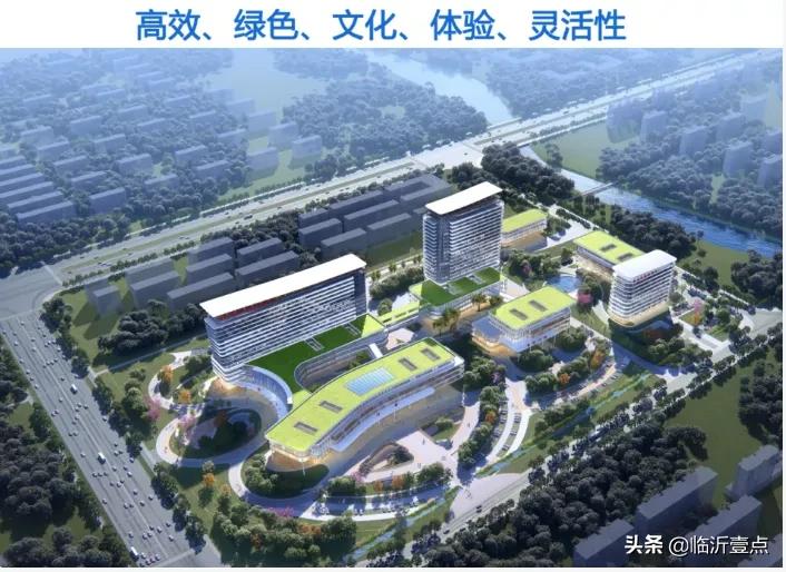 罗庄区人民医院最新情况,临沂罗庄区人民医院简介