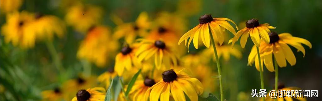 峰峰网红打卡地,寓教于玩幼儿园