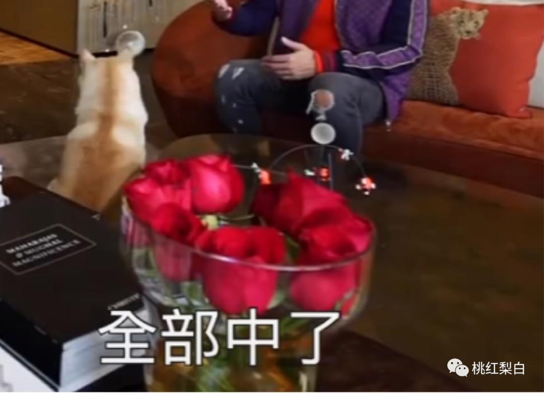 59岁关之琳豪宅内景曝光,香江第一美女关之琳年轻时颜值