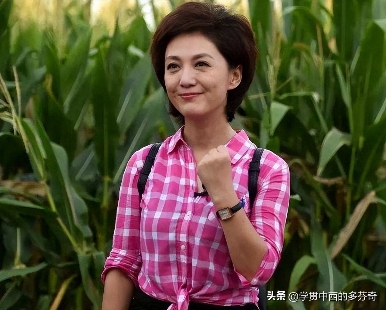 原央视主持人海霞近况,央视主持人海霞有几个儿女