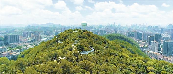 宝安打造海滨城市,宝安中心区发展规划