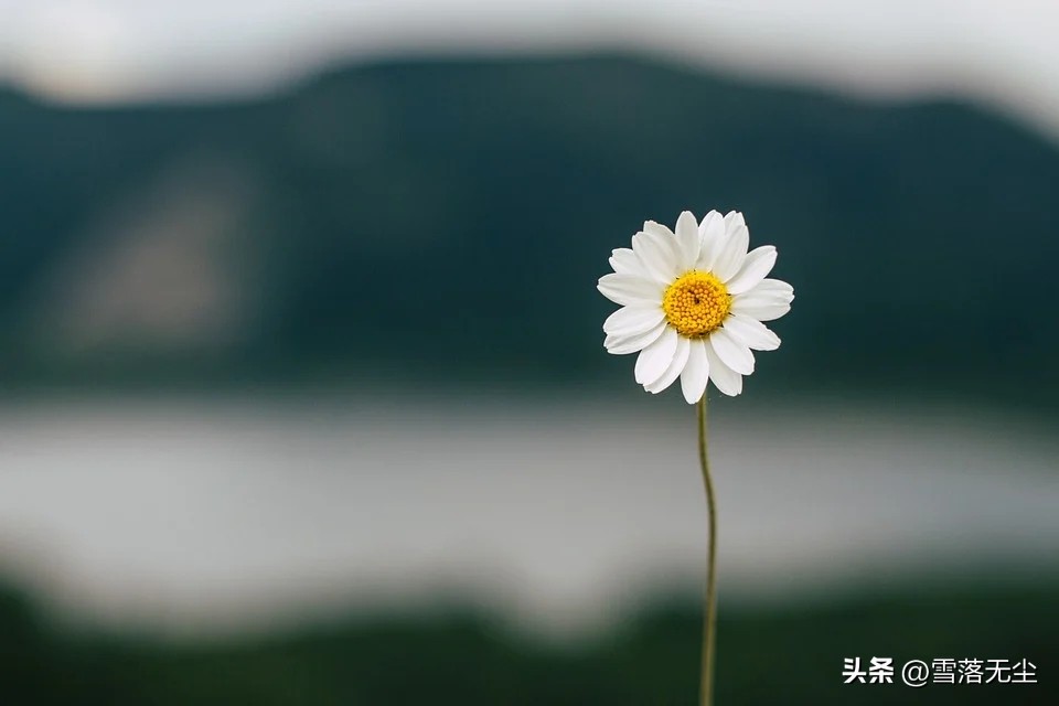 女人第六感能信吗,女人第六感都发现了什么