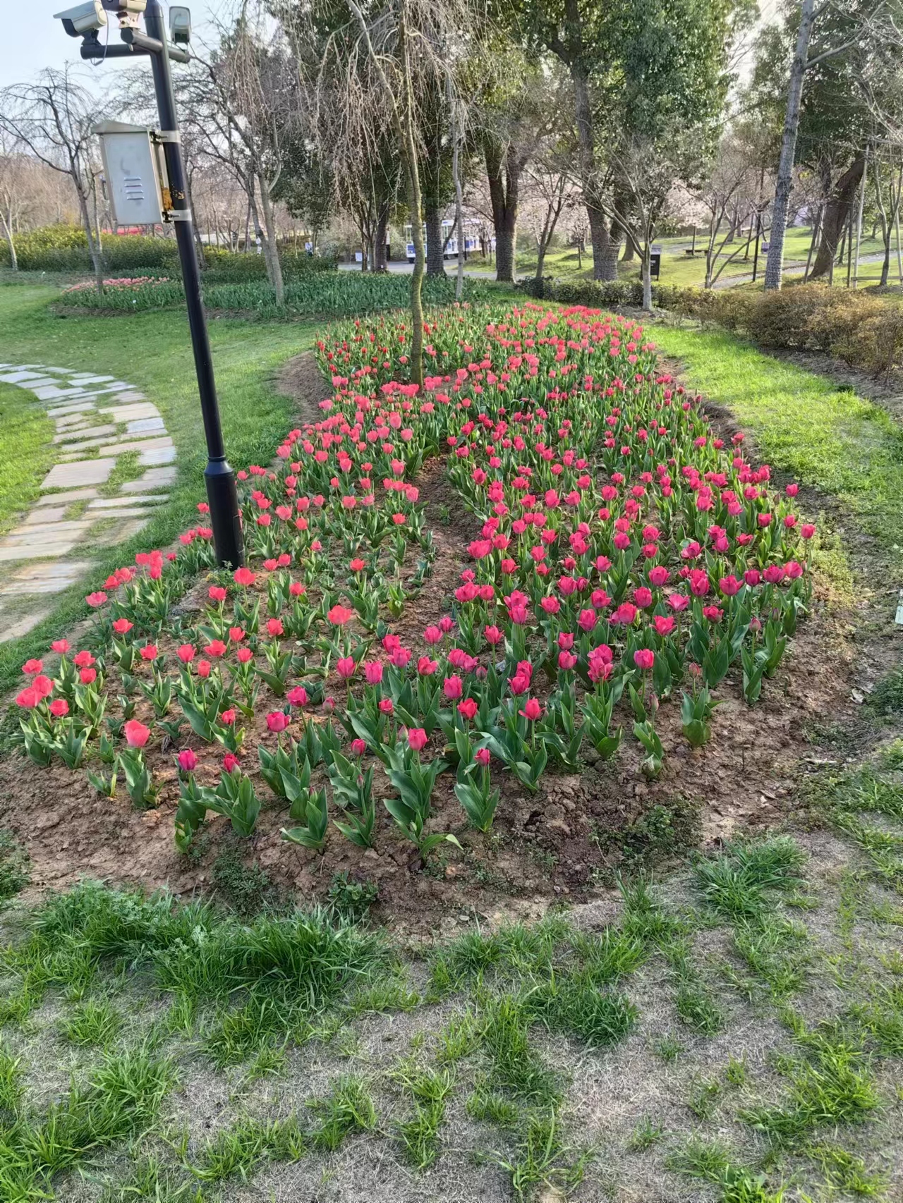 溧水梦华苑一日游,溧水三叶梦华苑还是郭兴庄园好玩
