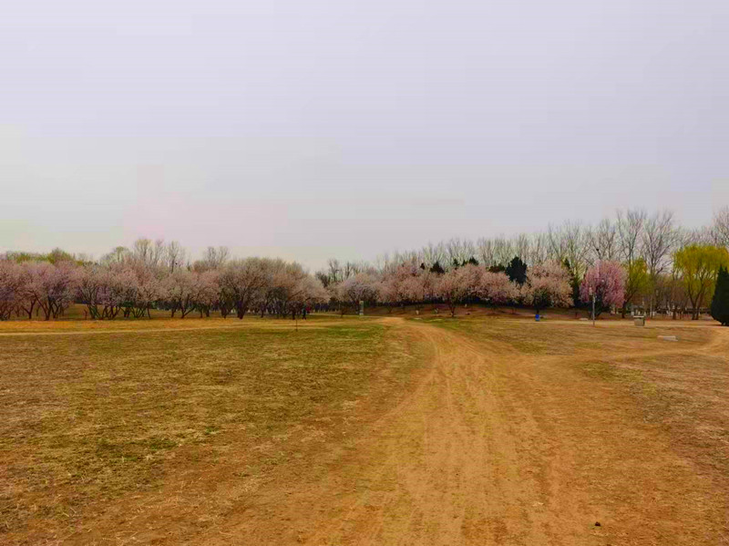 地铁达道附近有公园吗,地铁直达的昆明湿地公园