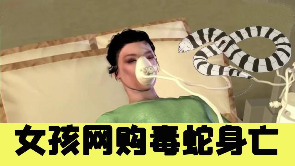 女子网购毒蛇被咬身亡，母亲追责索赔百万，买它究竟干什么用？