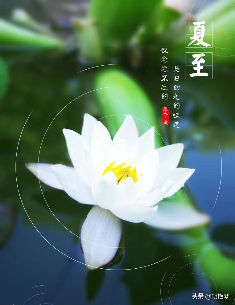 10首夏至诗词清凉一夏,今日夏至唯美的诗词